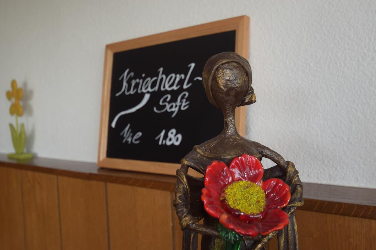 Gasthaus Donaublick Leiben 外观 照片